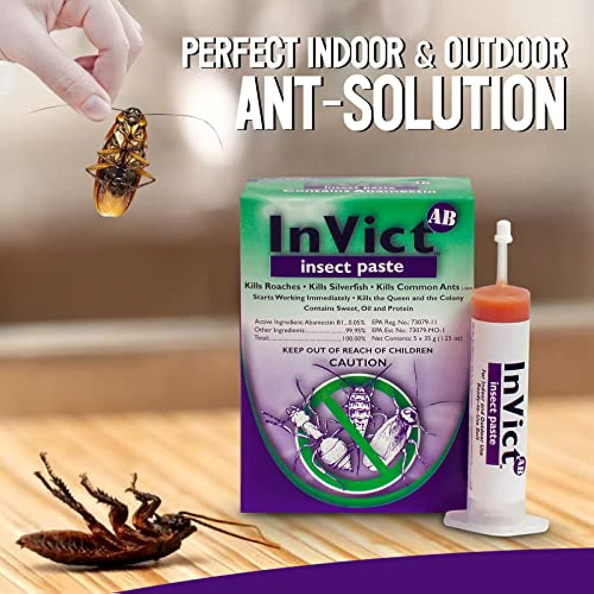 InVict AB Insect Paste - pest Control - Roach Killer Indoor infestatio ...