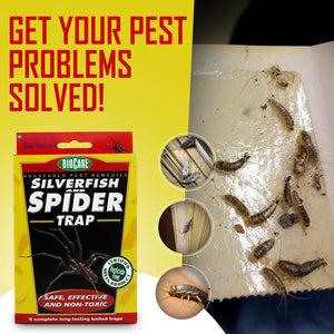 Springstar Biocare Spider & Silverfish Trap- Pet Safe Bait Trap-Spider -  CENTAURUS AZ